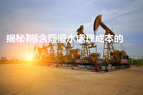 揭秘1噸含鹽廢水處理成本的驚人真相？